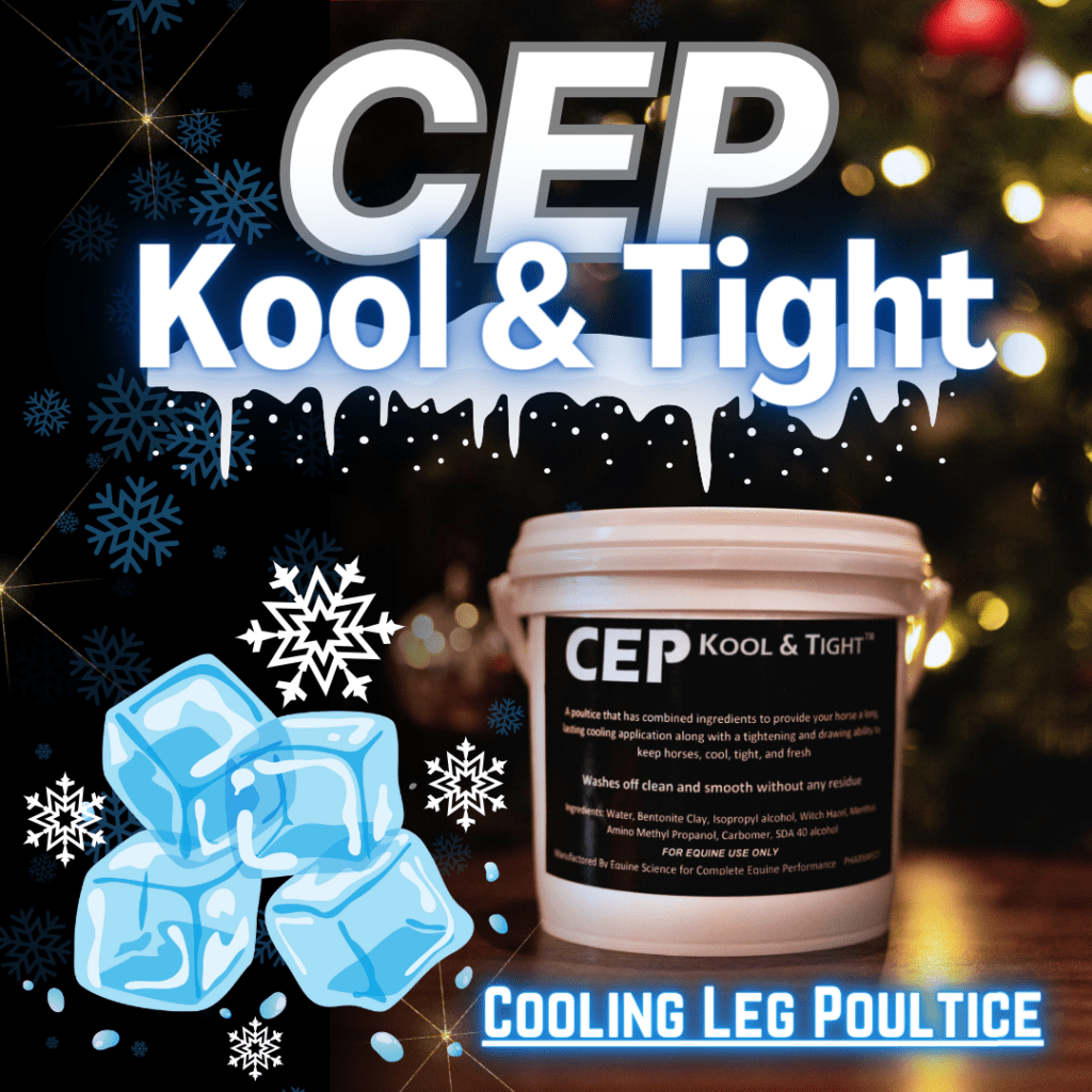 CEP Kool & Tight Complete Equine Performance