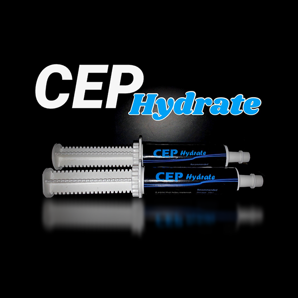CEP Hydrate Paste