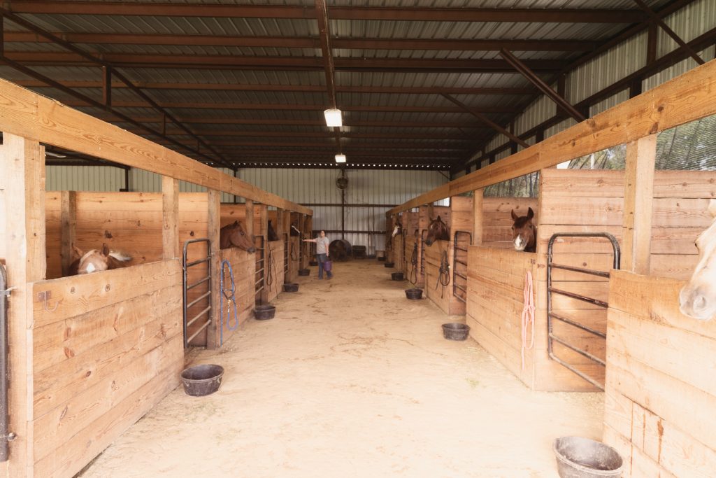 equine boarding facility business plan