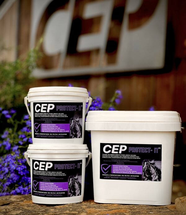 CEP Protect-It