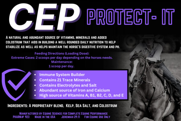 CEP Protect-It - Image 2