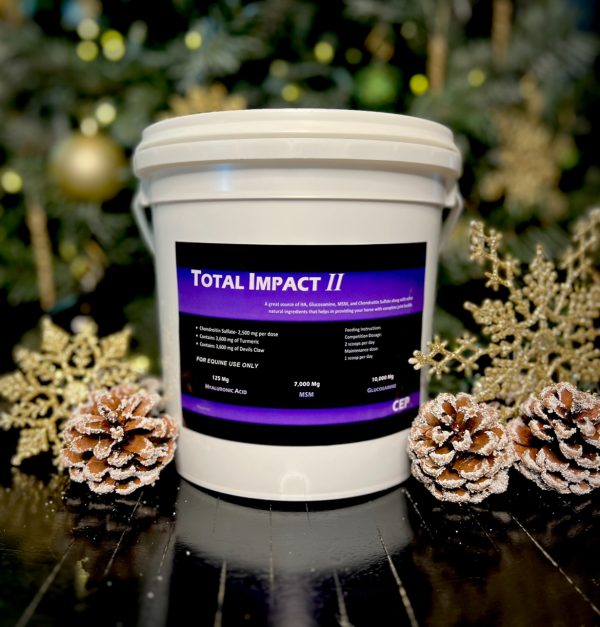 CEP Total Impact II