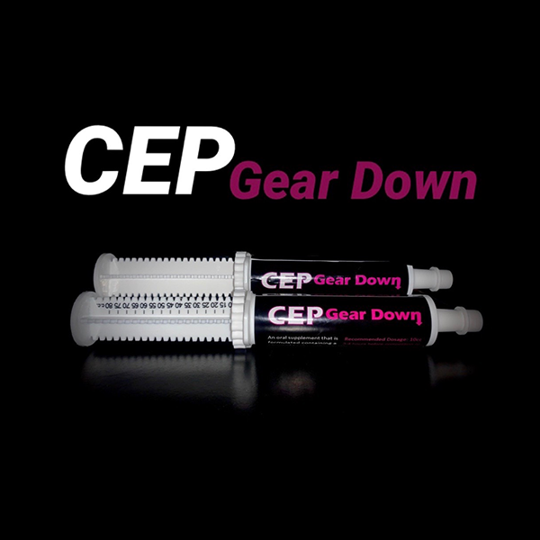 CEP Gear Down Paste