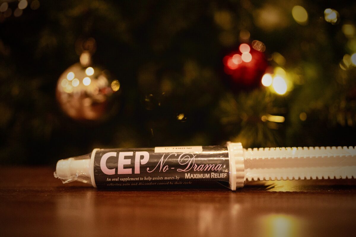 CEP No-Drama Paste | Complete Equine Performance