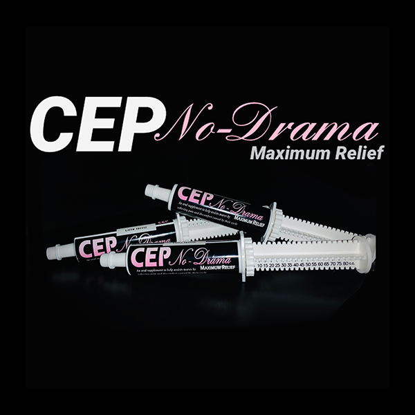 CEP - No Drama Paste
