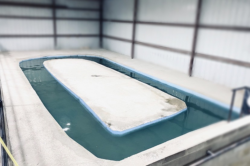 Complete Equine Performance - Swimming Pool