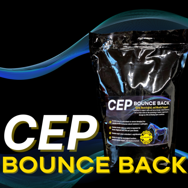 CEP Bounce Back