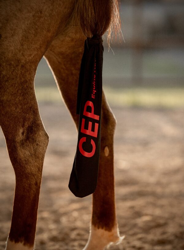 CEP Tail Bag