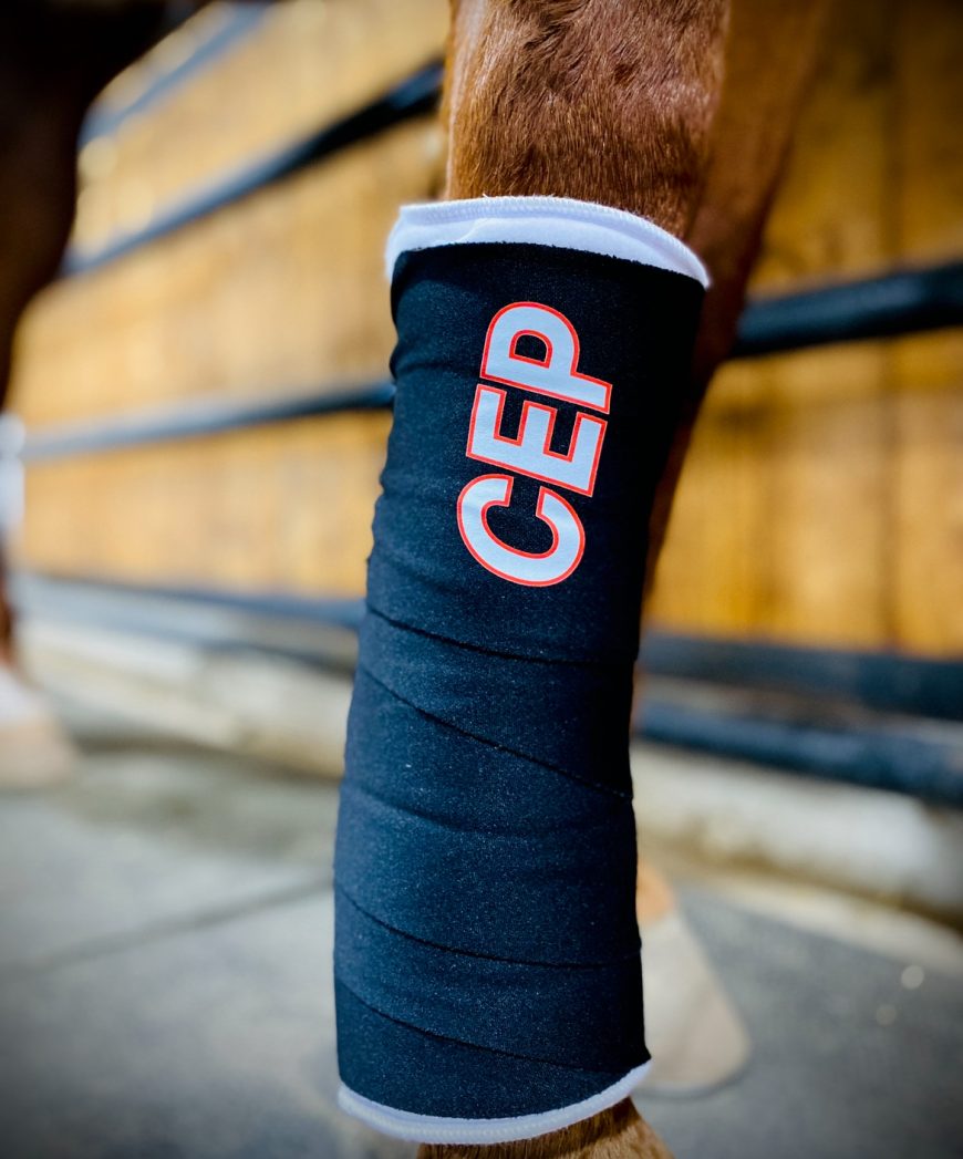 CEP No Bows & Standing Wraps | Complete Equine Performance