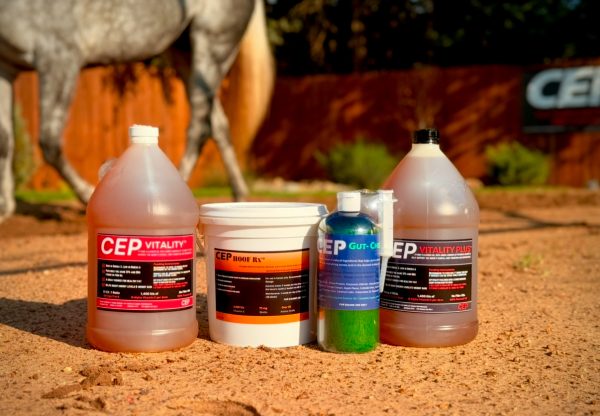 CEP Magic Trios